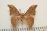  ( - BC-Basq1303)  @14 [ ] Copyright (2010) Unspecified Research Collection of Patrick Basquin