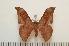  ( - BC-Basq1315)  @14 [ ] Copyright (2010) Unspecified Research Collection of Patrick Basquin
