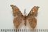  ( - BC-Basq1328)  @13 [ ] Copyright (2010) Unspecified Research Collection of Patrick Basquin