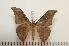  ( - BC-Basq1331)  @13 [ ] Copyright (2010) Unspecified Research Collection of Patrick Basquin