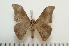  ( - BC-Basq1333)  @13 [ ] Copyright (2010) Unspecified Research Collection of Patrick Basquin
