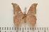  ( - BC-Basq1338)  @13 [ ] Copyright (2010) Unspecified Research Collection of Patrick Basquin