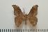  ( - BC-Basq1357)  @13 [ ] Copyright (2010) Unspecified Research Collection of Patrick Basquin
