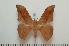  ( - BC-Basq1392)  @14 [ ] Copyright (2010) Unspecified Research Collection of Patrick Basquin