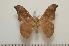  ( - BC-Basq1402)  @12 [ ] Copyright (2010) Unspecified Research Collection of Patrick Basquin