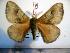  ( - BC-Basq 1976)  @12 [ ] Copyright (2010) Unspecified Research Collection of Patrick Basquin