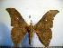  ( - BC-Basq 1987)  @13 [ ] Copyright (2010) Unspecified Research Collection of Patrick Basquin