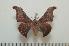  ( - BC-Basq0894)  @13 [ ] Copyright (2010) Unspecified Research Collection of Patrick Basquin