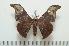  ( - BC-Basq0898)  @13 [ ] Copyright (2010) Unspecified Research Collection of Patrick Basquin