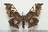  ( - BC-Basq0899)  @14 [ ] Copyright (2010) Unspecified Research Collection of Patrick Basquin