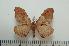  ( - BC-Basq0900)  @14 [ ] Copyright (2010) Unspecified Research Collection of Patrick Basquin