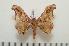  ( - BC-Basq0904)  @14 [ ] Copyright (2010) Unspecified Research Collection of Patrick Basquin