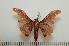  ( - BC-Basq0913)  @14 [ ] Copyright (2010) Unspecified Research Collection of Patrick Basquin
