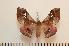  ( - BC-Basq0966)  @14 [ ] Copyright (2010) Unspecified Research Collection of Patrick Basquin