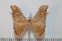  ( - BC-Basq 2241)  @14 [ ] Copyright (2010) Unspecified Research Collection of Patrick Basquin