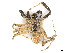  ( - CBG-A51064-H11)  @11 [ ] CreativeCommons - Attribution (2024) CBG Photography Group Centre for Biodiversity Genomics