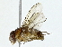  ( - BIOUG85486-E03)  @11 [ ] CreativeCommons - Attribution (2022) CBG Photography Group Centre for Biodiversity Genomics