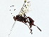  ( - BIOUG97788-G02)  @11 [ ] CreativeCommons - Attribution (2023) CBG Photography Group Centre for Biodiversity Genomics
