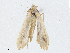  ( - CBG-A02846-A07)  @11 [ ] CreativeCommons - Attribution (2023) CBG Photography Group Centre for Biodiversity Genomics