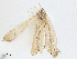  ( - CBG-A02883-G03)  @11 [ ] CreativeCommons - Attribution (2023) CBG Photography Group Centre for Biodiversity Genomics