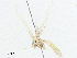  ( - CBG-A02883-H05)  @11 [ ] CreativeCommons - Attribution (2023) CBG Photography Group Centre for Biodiversity Genomics