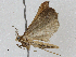  ( - CBG-A02898-B12)  @11 [ ] CreativeCommons - Attribution (2023) CBG Photography Group Centre for Biodiversity Genomics