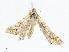  ( - CBG-A04492-A05)  @11 [ ] CreativeCommons - Attribution (2023) CBG Photography Group Centre for Biodiversity Genomics