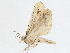  ( - CBG-A04540-G05)  @11 [ ] CreativeCommons - Attribution (2023) CBG Photography Group Centre for Biodiversity Genomics