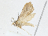  ( - CBG-A04540-G06)  @11 [ ] CreativeCommons - Attribution (2023) CBG Photography Group Centre for Biodiversity Genomics