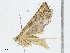  ( - CBG-A04540-G07)  @11 [ ] CreativeCommons - Attribution (2023) CBG Photography Group Centre for Biodiversity Genomics