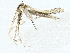  ( - BIOUG85241-F06)  @11 [ ] CreativeCommons - Attribution (2022) CBG Photography Group Centre for Biodiversity Genomics