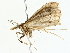  ( - BIOUG85242-C02)  @11 [ ] CreativeCommons - Attribution (2022) CBG Photography Group Centre for Biodiversity Genomics