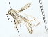  ( - BIOUG85242-C11)  @11 [ ] CreativeCommons - Attribution (2022) CBG Photography Group Centre for Biodiversity Genomics