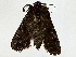  ( - BIOUG85486-H05)  @11 [ ] CreativeCommons - Attribution (2022) CBG Photography Group Centre for Biodiversity Genomics