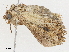  ( - CBG-A01181-C01)  @11 [ ] CreativeCommons - Attribution (2023) CBG Photography Group Centre for Biodiversity Genomics