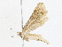  ( - CBG-A01181-C03)  @11 [ ] CreativeCommons - Attribution (2023) CBG Photography Group Centre for Biodiversity Genomics