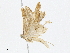  ( - CBG-A01181-C06)  @11 [ ] CreativeCommons - Attribution (2023) CBG Photography Group Centre for Biodiversity Genomics