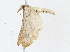  ( - CBG-A01181-C11)  @11 [ ] CreativeCommons - Attribution (2023) CBG Photography Group Centre for Biodiversity Genomics