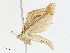  ( - CBG-A01181-G02)  @11 [ ] CreativeCommons - Attribution (2023) CBG Photography Group Centre for Biodiversity Genomics