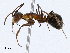  ( - CBG-A01203-B05)  @11 [ ] CreativeCommons - Attribution (2023) CBG Photography Group Centre for Biodiversity Genomics