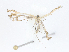 ( - CBG-A02918-E06)  @11 [ ] CreativeCommons - Attribution (2023) CBG Photography Group Centre for Biodiversity Genomics