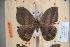  ( - BC-RBP-0381)  @13 [ ] Copyright (2010) Unspecified Research Collection of Ron Brechlin