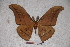  ( - BC-RBP-0674)  @11 [ ] Copyright (2010) Unspecified Research Collection of Ron Brechlin
