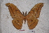  ( - BC-RBP-0676)  @11 [ ] Copyright (2010) Unspecified Research Collection of Ron Brechlin