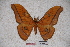  ( - BC-RBP-0685)  @13 [ ] Copyright (2010) Unspecified Research Collection of Ron Brechlin