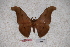  ( - BC-RBP-0734)  @12 [ ] Copyright (2010) Unspecified Research Collection of Ron Brechlin