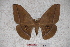  ( - BC-RBP-0736)  @14 [ ] Copyright (2010) Unspecified Research Collection of Ron Brechlin