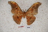  ( - BC-RBP-0778)  @13 [ ] Copyright (2010) Unspecified Research Collection of Ron Brechlin