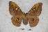  ( - BC-RBP-0780)  @13 [ ] Copyright (2010) Unspecified Research Collection of Ron Brechlin