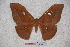  ( - BC-RBP-0821)  @13 [ ] Copyright (2010) Unspecified Research Collection of Ron Brechlin